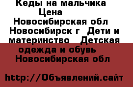 Кеды на мальчика › Цена ­ 300 - Новосибирская обл., Новосибирск г. Дети и материнство » Детская одежда и обувь   . Новосибирская обл.